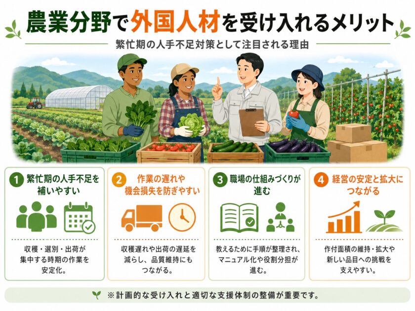 農業分野と外国人材の活用メリット
